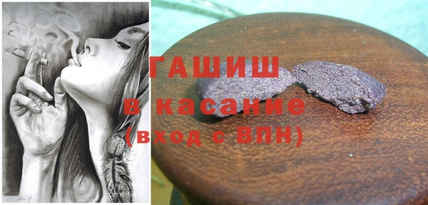 мдпв Каменка