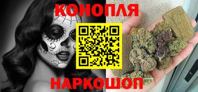 мдпв Бердск