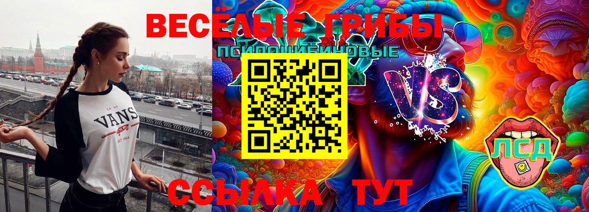 Псилоцибиновые грибы Magic Shrooms  Вход с VPN  Канск 