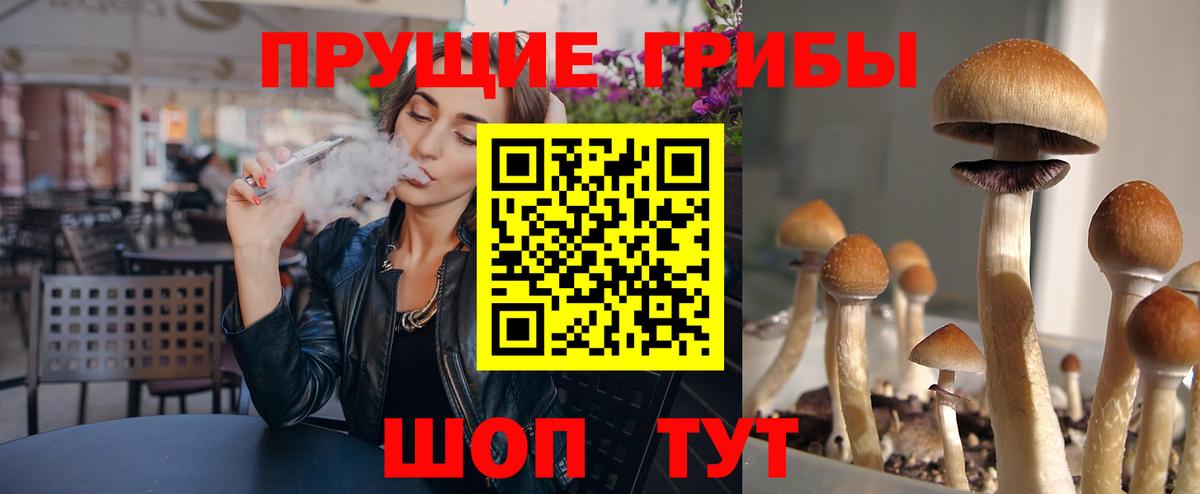 Псилоцибиновые грибы MAGIC MUSHROOMS Канск
